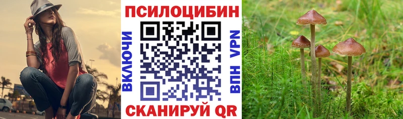 Галлюциногенные грибы мицелий  Высоцк 
